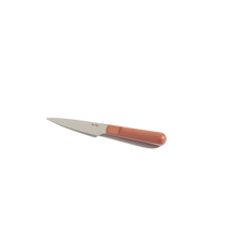 paring knife - spice - view 1