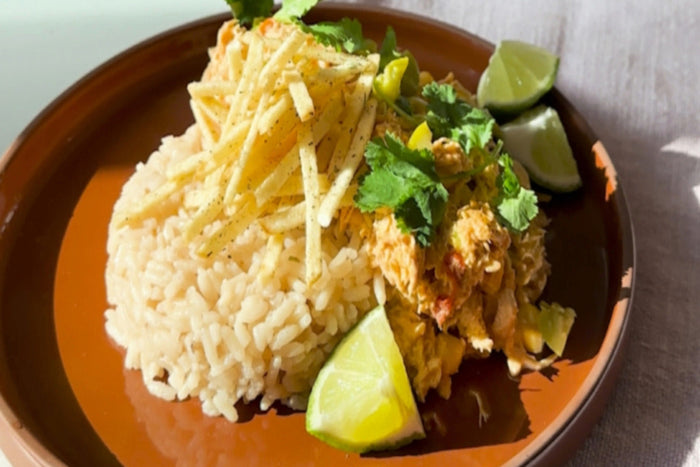 Brazilian Chicken Stroganoff by Your Mama's Kitchen and Camila Alves McConaughey