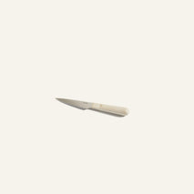 Precise Paring Knife-Steam